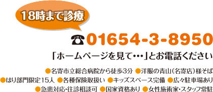 電話：01654-3-8950